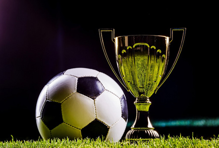 的代名词 的代名词