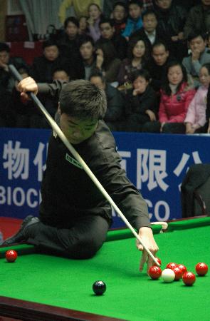 这不仅展示 这不仅展示