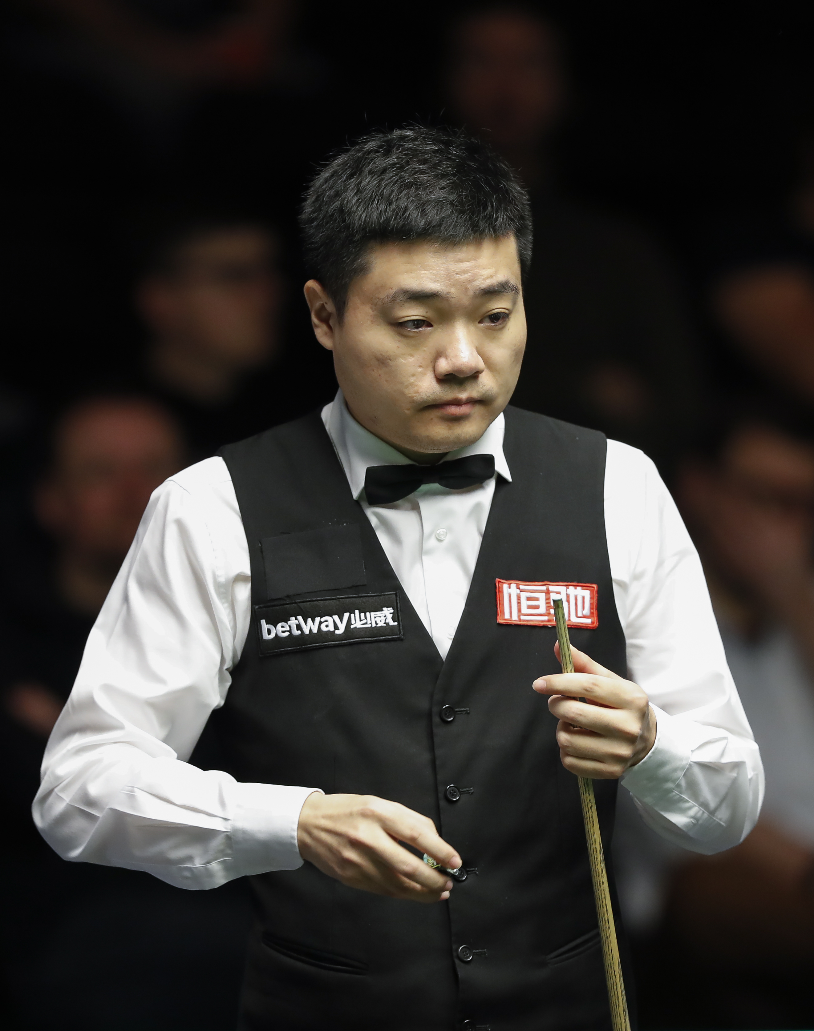 给骆建佑制 给骆建佑制