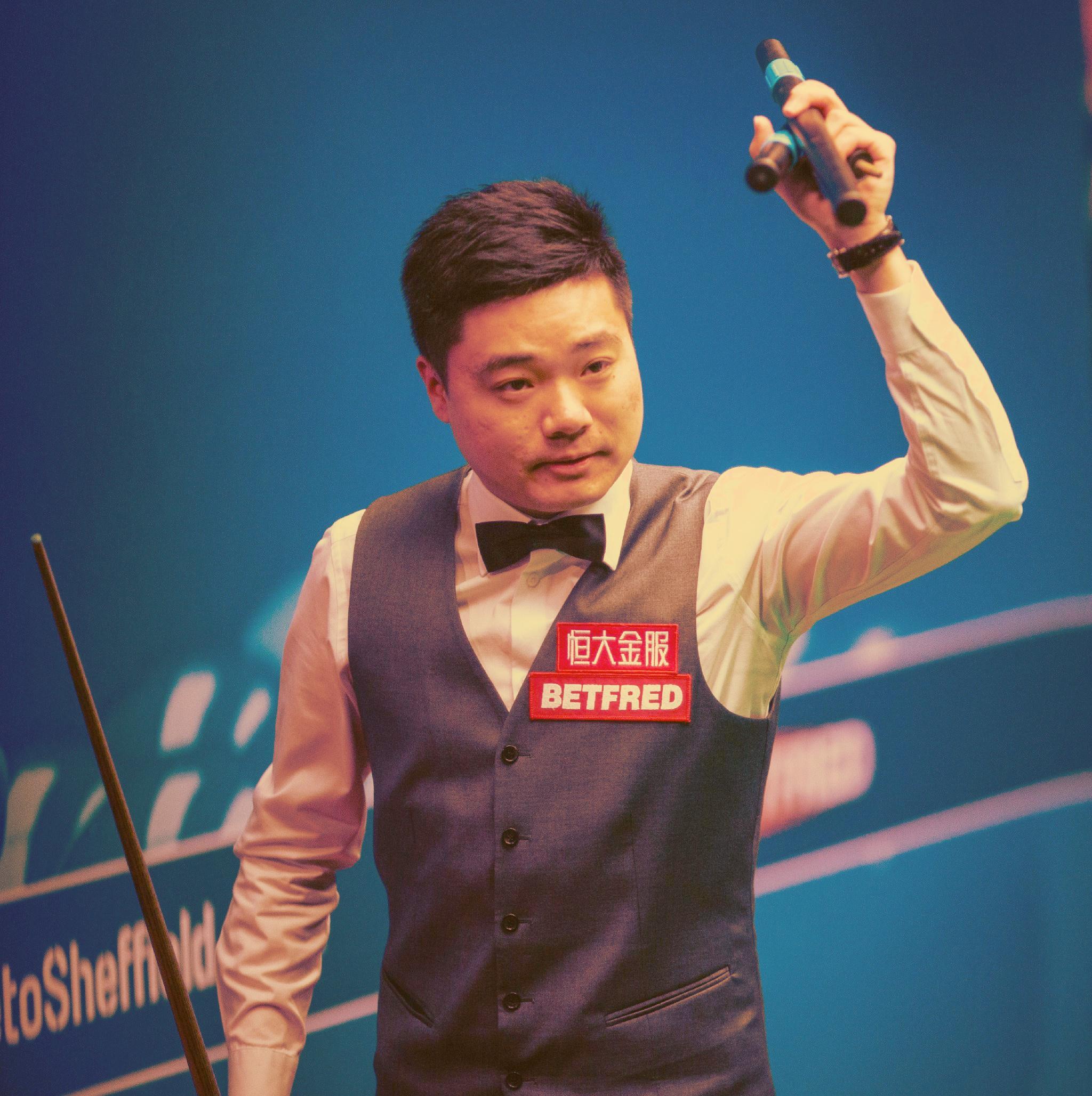 不仅展示了 不仅展示了