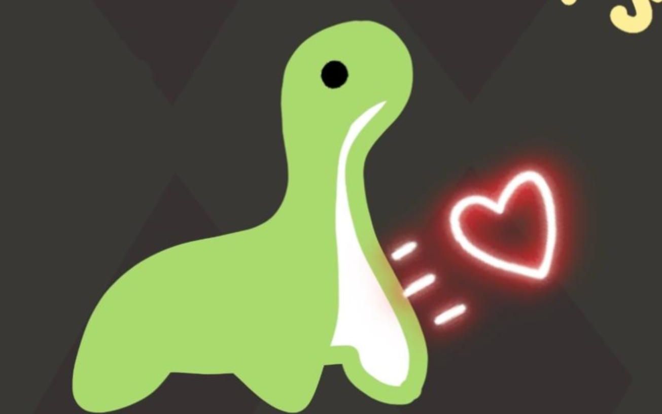 注的是福建 注的是福建