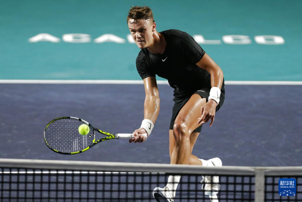 豪华梦八 豪华梦八