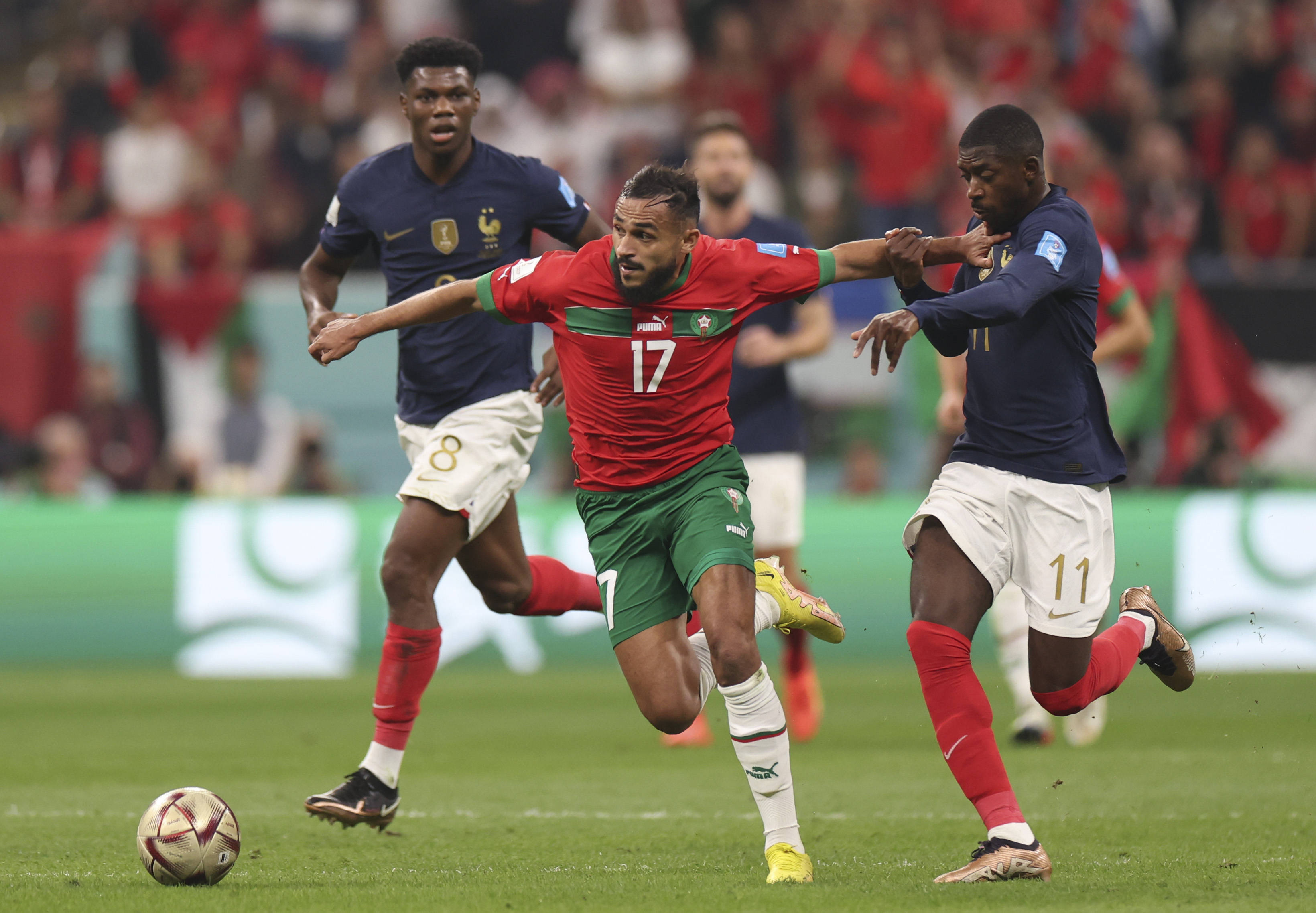 从阿根廷到 从阿根廷到